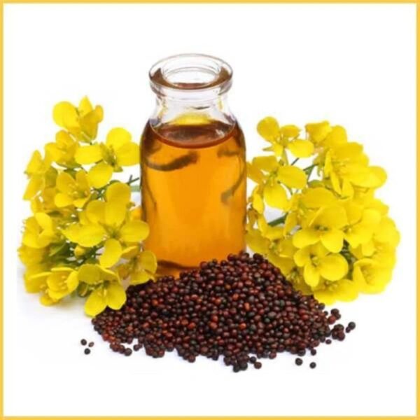 Kachi Ghani Mustard oil - Image 2